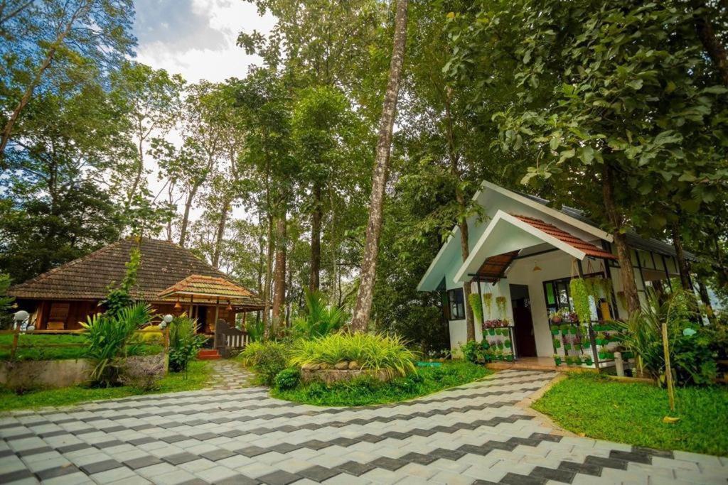 Traditional Kerala Villa